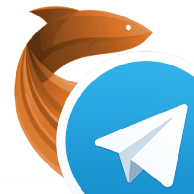 Foto del perfil de botaym